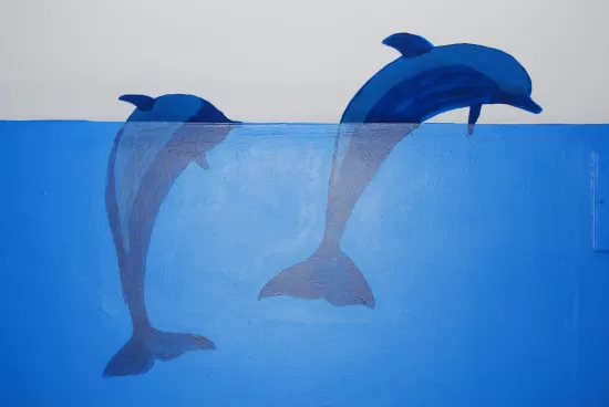 Detail from wall mural, showing two dolphins breaking the water surface